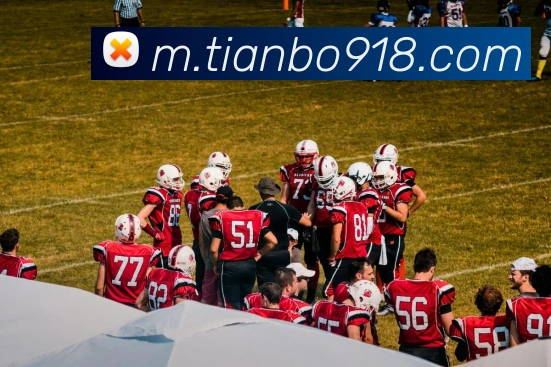 天博体育服务体系